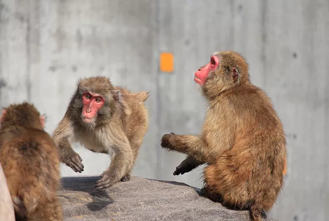 上野動物園
