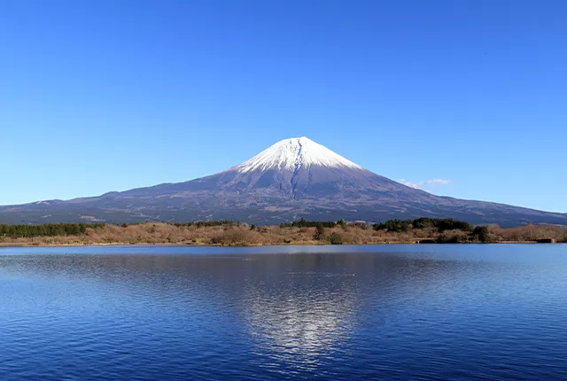 富士河口湖